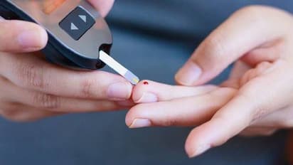 Mango leaves are a treasure trove of benefits; check out