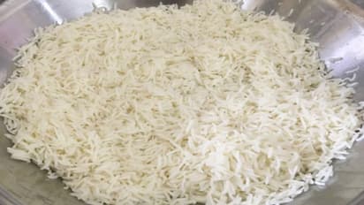 क्या कूकर में पकाते हुए नीचे से जल जाते हैं चावल, पानी के साथ जरूर मिलाएं ये 2 चीजें और देखें जादू