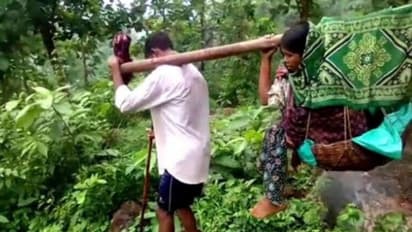റോഡില്ല, ആംബുലന്സില്ല, ആന്ധ്രയില് ഗര്ഭിണിയായ ആദിവാസി യുവതിയെ ആശുപത്രിയിലെത്തിച്ചത് ഡോളിയില് ചുമന്ന്