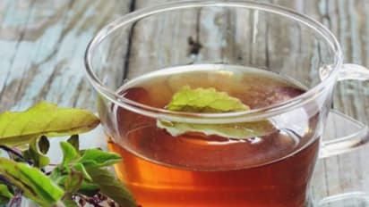 తులసీ కషాయం.. ఆ వ్యాధులన్నింటికీ చెక్..!