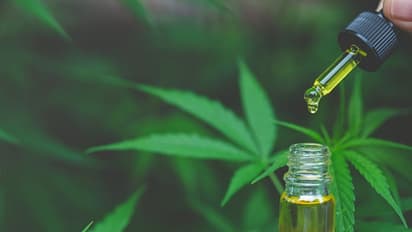 'അമ്മയേക്കാൾ വലിയ പോരാളിയില്ല', മകനെ നേർവഴിക്ക് എത്തിക്കാൻ ലഹരി സംഘത്തെ മുട്ടുകുത്തിച്ച് ഒരമ്മ 