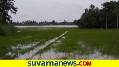 ಚಿಕ್ಕಬಳ್ಳಾಪುರ : ಜಿಲ್ಲೆಯಲ್ಲಿ 897.40 ಎಕರೆ ಅರಣ್ಯ ಒತ್ತುವರಿ