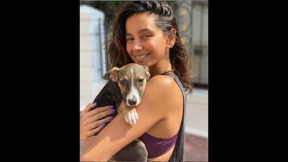 ಫರ್ಹಾನ್ ಅಖ್ತರ್ ಗರ್ಲ್‌ಫ್ರೆಂಡ್‌  ಶಿಬಾನಿ ದಾಂಡೇಕರ್ ಬಗ್ಗೆ ಒಂದಿಷ್ಟು..