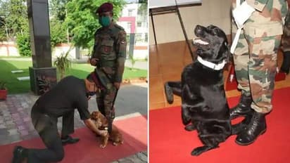 മന് കീ ബാത്തില് പ്രധാനമന്ത്രി പ്രകീര്ത്തിച്ച പട്ടാള നായകള് ഇവിടെയുണ്ട്.!