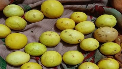 खट्टे नींबू से बनाए मीठा अचार, रोटी से लेकर पराठे-पूड़ी तक का बढ़ा देगा स्वाद