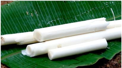 അറിയാം, വാഴപ്പിണ്ടി കഴിച്ചാലുള്ള ആരോഗ്യഗുണങ്ങൾ