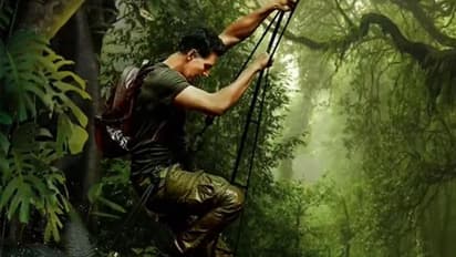 হাতির মল দিয়ে তৈরি চা পান, বিয়ার গ্রিলসের সঙ্গে তাক লাগালেন অক্ষয়, ভাইরাল ভিডিও