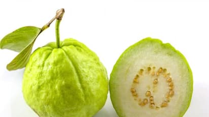 এই ফলের পাতাতেই লুকিয়ে রয়েছে হাজারো রোগের মহৌষধ, মুক্তি পাবেন বাড়তি মেদ থেকে