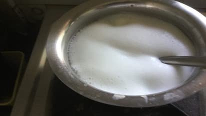 चमत्कार: बिना जामन के घर पर जमा सकते हैं दही, हरी मिर्च डालते ही जमेगी मार्केट से भी टाइट दही