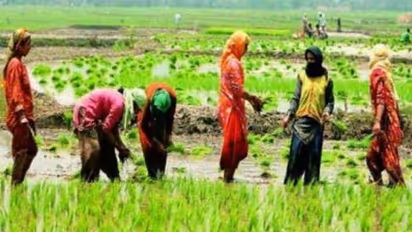 Two Farm Reform Bills passed in Rajya Sabha amid Opposition’s ruckus