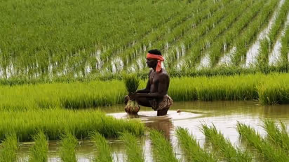 கார்பரேட் கம்பெனிகளிடம் பாஜக அரசு விவசாயிகளை விற்கிறதா.? விவசாய பொருட்களை விற்கிறதா..? எதிர்கட்சிகள் எதிர்ப்பு