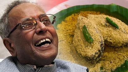 খাদ্যরসিক প্রণবদা ইলিশ বড় ভাল বাসতেন, বিদায় বেলায় স্মৃতিচারণায় ডুবলেন ইরানি