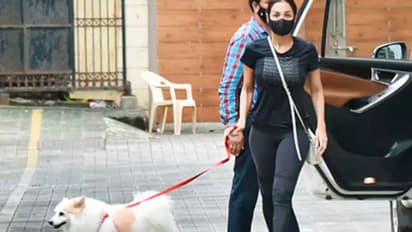 ನಾಯಿನ ವಾಕ್‌ಗೆ ಕರೆದೊಯ್ಬೇಕಾದ್ರೆ ಮಲೈಕಾ ಬಳಸೋ ಬ್ಯಾಗ್ ಬೆಲೆ ಕೇಳಿದ್ರಾ..? ಮಾಲ್ಡೀವ್ಸ್ ಟ್ರಿಪ್ ಹೋಗ್ಬೋದು..!