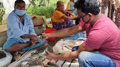 খোলা বাজার থেকে কিনে কচ্ছপকে মুক্তি, সচেতনতার নজির হাওড়ার বাগনানে