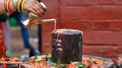 कालसर्प दोष के उपाय करने का सही समय है श्राद्ध पक्ष, करें इन 7 में से कोई 1 उपाय