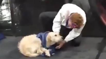 ബസ് സ്റ്റോപ്പിൽ തണുത്ത് വിറച്ച് നായ; സ്വന്തം ജാക്കറ്റ് ഊരി ധരിപ്പിച്ച് യുവാവ്, ഹൃദ്യം ഈ വീഡിയോ