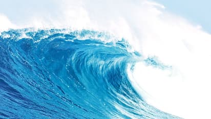 6000 പശുക്കളുമായി കപ്പല് നടുക്കടലില് മുങ്ങി, അപകടത്തിനു പിന്നില്..!