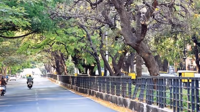 Bengaluru: ಕಬ್ಬನ್‌ ಪಾರ್ಕ್‌ನಲ್ಲಿ ಕಟ್ಟಡ ಕಟ್ಟುವ ಪ್ಲ್ಯಾನ್‌ ಕೈಬಿಟ್ಟ ರಾಜ್ಯ ಸರ್ಕಾರ!