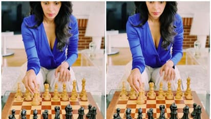 ഇതെന്ത് നീക്കം?, ചെസ് കളിക്കുന്ന മല്ലിക ഷെരാവത്തിന് പരിഹാസം