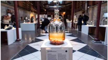 ഓക്കാനം തോന്നുമെങ്കിലും ഇവയും ഭക്ഷണം; അറിയാം ലോകത്തെ ചില വിചിത്ര രുചികളേക്കുറിച്ച്