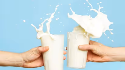 Benefits of buffalo milk which you should know