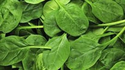 চুল ঝড়ে পাতলা হয়ে যাচ্ছে, এই ৮ খাবার যা চুল পড়া কমাতে ম্যাজিকের মত কাজ করে