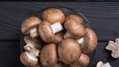 ಪನೀರ್ VS ಮಶ್ರೂಮ್ : ಇವೆರಡರಲ್ಲಿ ಆರೋಗ್ಯಕ್ಕೆ ಯಾವುದು ಬೆಸ್ಟ್?