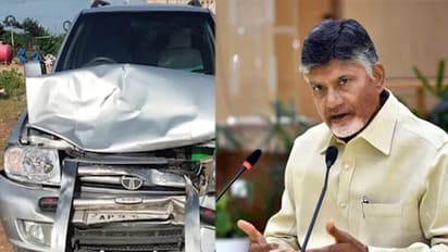 బ్రేకింగ్: కాన్వాయ్కి అడ్డొచ్చిన ఆవు.. చంద్రబాబుకు తప్పిన పెను ప్రమాదం