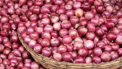 രാജ്യത്ത് ഉള്ളി വില കുതിക്കുന്നു; പുതിയ വിളയെ കാത്ത് വ്യാപാരികൾ 