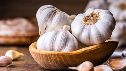 Mosquito menace: How garlic can be used as best repellent to keep these insects at bay