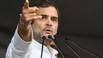 Rahul Gandhi is a thorn in Congress’s throne