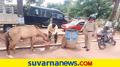 ಹಿರೇಕೆರೂರು: ಕಾಲು ಮುರಿದ ಕುದುರೆ ಆರೈಕೆ ಮಾಡಿ ಮಾನವೀಯತೆ ಮೆರೆದ ಪೊಲೀಸ್