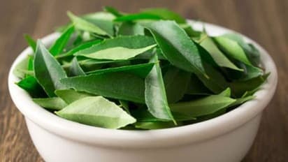 കറിവേപ്പില കളയേണ്ട, ആരോഗ്യഗുണങ്ങൾ ഇതൊക്കെയാണ്