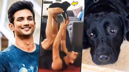 Is Sushant Singh Rajput's dogs up for adoption? Actor had three Rottweiler pups besides Fudge