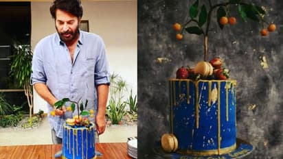 മമ്മൂട്ടിക്കായി മകള് സമ്മാനിച്ച കേക്കിലും കാണാം ചില പ്രത്യേകതകള്...