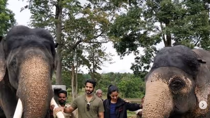 ಮೈಸೂರಿನ 'ಅರ್ಜುನ' ಹಾಗೂ 'ದುರ್ಗಾಪರಮೇಶ್ವರಿ'ಯೊಂದಿಗೆ ನಿಖಿಲ್ ಕುಮಾರಸ್ವಾಮಿ ದಂಪತಿ!