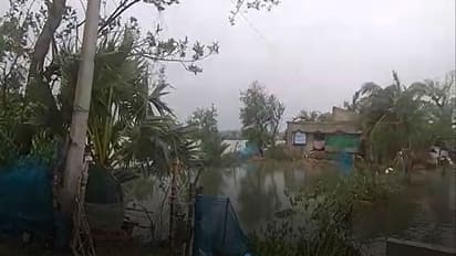 নদীবাঁধ ভেঙে গ্রামে ঢুকেছে নোনা জল, জলমগ্ন ঘরবাড়ি, নতুন করে আতঙ্ক সুন্দরবনে