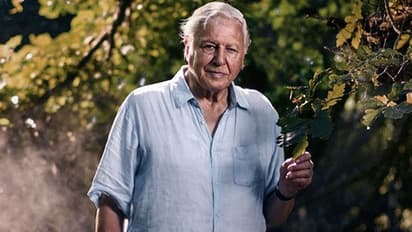 एटनबरो को इंदिरा गांधी शांति पुरस्कार, सोनिया गांधी ने कहा, इंदिरा डेविड की डॉक्यूमेंट्री देखती थीं