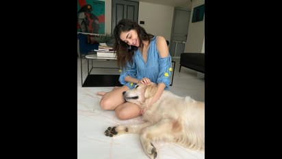 ಅನನ್ಯಾ ಪಾಂಡೆ ಟ್ರೋಲ್ , ಕಾರಣ ಮಾತ್ರ ಮಜಾ ಇದೆ!