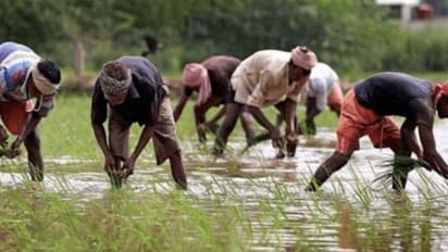 ஒட்டு மொத்த தமிழகமும் ஸ்தம்பிக்க போகிறது..!! 25 ஆம் தேதிக்கு விவசாயிகள் போட்ட பயங்கர திட்டம்..!!