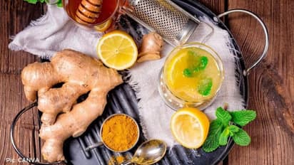 ಶುಂಠಿ ಹಾಲಲ್ಲಿರುವ ಔಷಧೀಯ ಗುಣಗಳು ಇಲ್ಲಿವೆ ನೋಡಿ