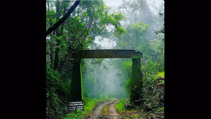 സൈലന്റ് വാലി ദേശീയോദ്യാനത്തിന് 35 വയസ്സ്; കേരള സര്ക്കാര് കിണഞ്ഞുശ്രമിച്ചിട്ടും നടക്കാതെപോയ പദ്ധതി