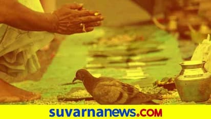 ಪಿತೃಪಕ್ಷ: ಮಹತ್ವದ ಈ ದಿನದಲ್ಲಿ ಏನು ಮಾಡಿದರೆ ಅದೃಷ್ಟ ಖುಲಾಯಿಸುತ್ತೆ?