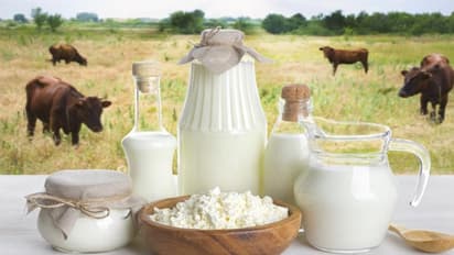 ಎಚ್ಚರವಿರಲಿ..! ನೀವು ಕುಡಿಯೋ ಹಾಲಲ್ಲೂ ಇರಬಹುದು ಡ್ರಗ್ಸ್..!