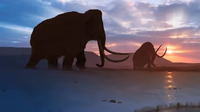 CIA is investing in project to bring woolly mammoth back from extinction