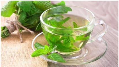 പുതിനയിലയിട്ട് തിളപ്പിച്ച വെള്ളം കുടിക്കുന്നത് ശീലമാക്കൂ; ​ഗുണങ്ങൾ ചെറുതൊന്നുമല്ല