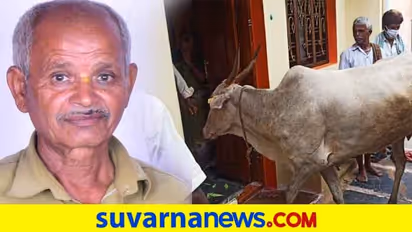 ಮುಳಗುಂದ: ಪಶು ಆಸ್ಪತ್ರೆ ಸಿಬ್ಬಂದಿ ನಿಧನ, ಅಂತಿಮ ದರ್ಶನ ಪಡೆದ ಹಸು