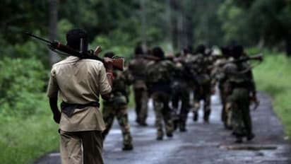 Maoist Killed: গাড়চিরোলির জঙ্গলে পুলিশের সঙ্গে গুলির লড়াই, নিহত ২৬ মাওবাদী