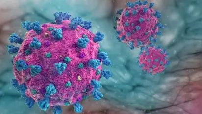 Unique village in Karnataka with zero Covid cases, ‘we follow protocols to keep our village safe’