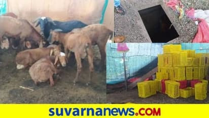 ಕಲಬುರಗಿ: ಕುರಿ ದೊಡ್ಡಿಯಲ್ಲಿ ಕೋಟ್ಯಂತರ ರು. ಗಾಂಜಾ ಇಟ್ಟವನ ಹಿಸ್ಟರಿಯೇ ಬಲು ರೋಚಕ..!